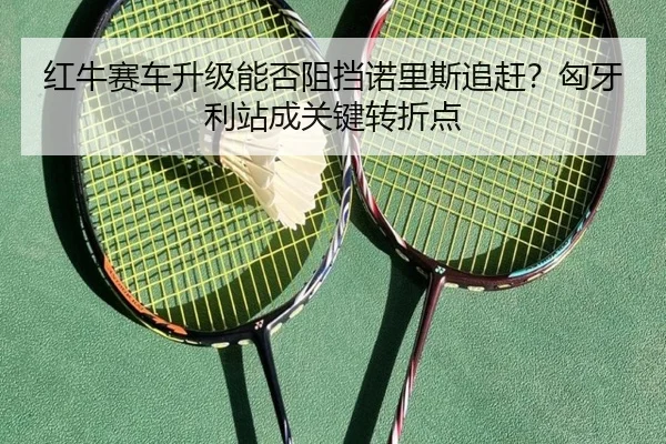 红牛赛车升级能否阻挡诺里斯追赶？匈牙利站成关键转折点